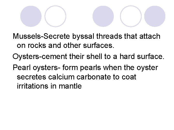 Mussels-Secrete byssal threads that attach on rocks and other surfaces. Oysters-cement their shell to