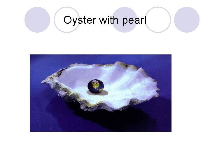 Oyster with pearl 