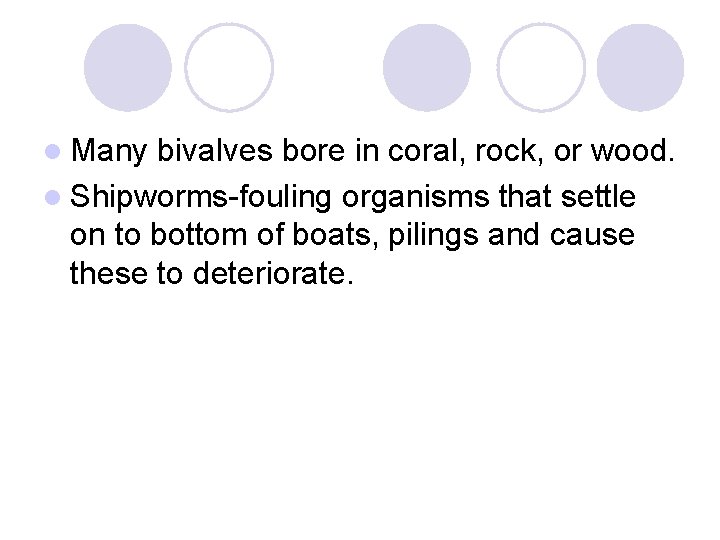 l Many bivalves bore in coral, rock, or wood. l Shipworms-fouling organisms that settle