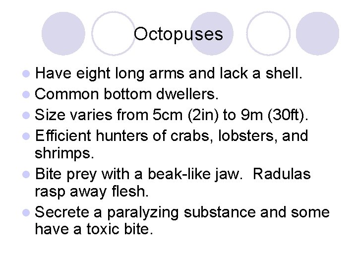 Octopuses l Have eight long arms and lack a shell. l Common bottom dwellers.