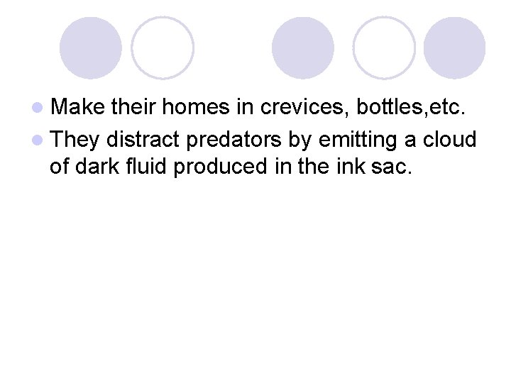 l Make their homes in crevices, bottles, etc. l They distract predators by emitting