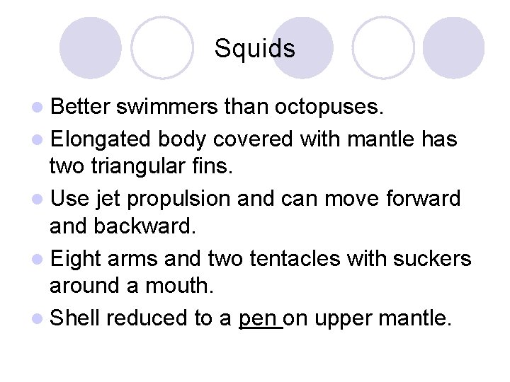 Squids l Better swimmers than octopuses. l Elongated body covered with mantle has two