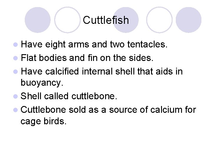 Cuttlefish l Have eight arms and two tentacles. l Flat bodies and fin on