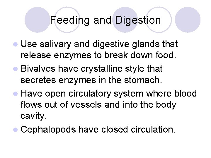 Feeding and Digestion l Use salivary and digestive glands that release enzymes to break