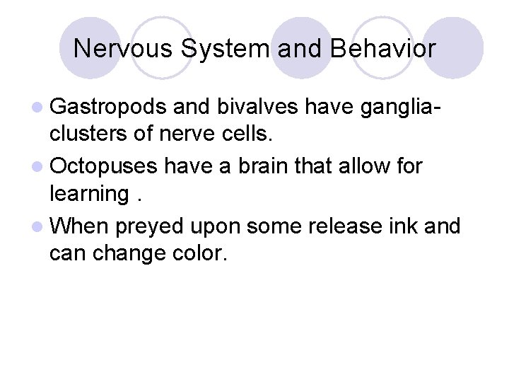 Nervous System and Behavior l Gastropods and bivalves have gangliaclusters of nerve cells. l