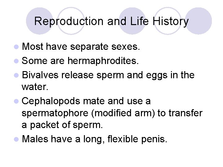 Reproduction and Life History l Most have separate sexes. l Some are hermaphrodites. l