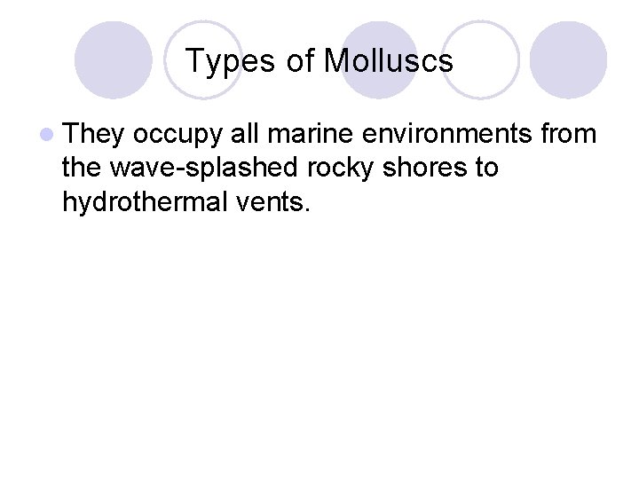 Types of Molluscs l They occupy all marine environments from the wave-splashed rocky shores