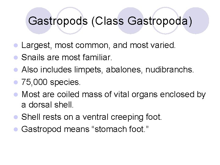 Gastropods (Class Gastropoda) l l l l Largest, most common, and most varied. Snails