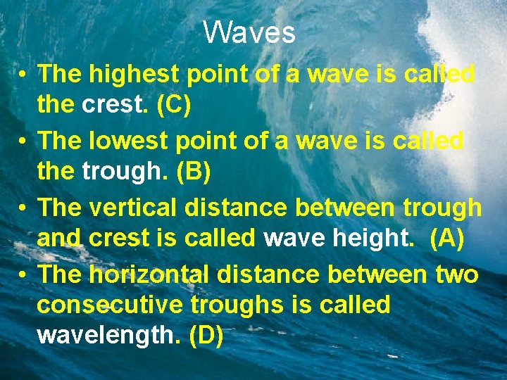 Waves • The highest point of a wave is called the crest. (C) •