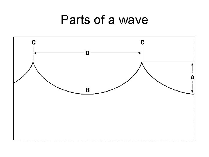 Parts of a wave 
