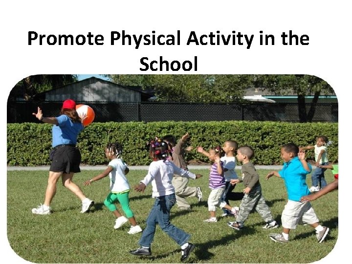 Promote Physical Activity in the School What you