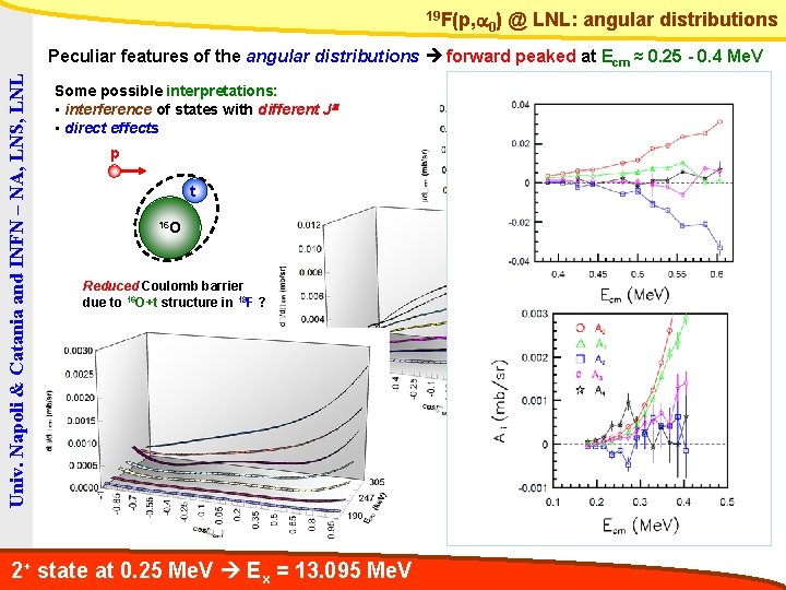 19 F(p, a 0) @ LNL: angular distributions Univ. Napoli & Catania and INFN