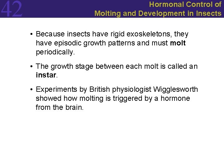 42 Hormonal Control of Molting and Development in Insects • Because insects have rigid