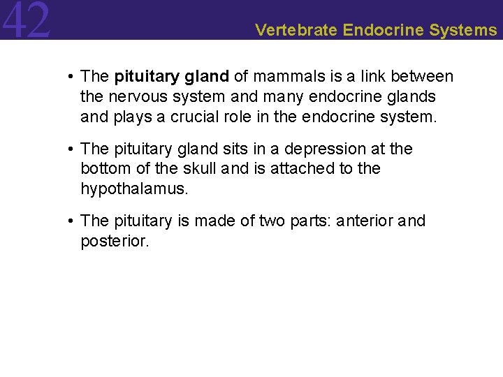 42 Vertebrate Endocrine Systems • The pituitary gland of mammals is a link between