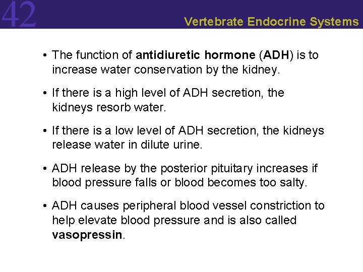 42 Vertebrate Endocrine Systems • The function of antidiuretic hormone (ADH) is to increase