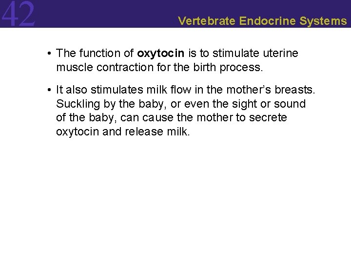 42 Vertebrate Endocrine Systems • The function of oxytocin is to stimulate uterine muscle