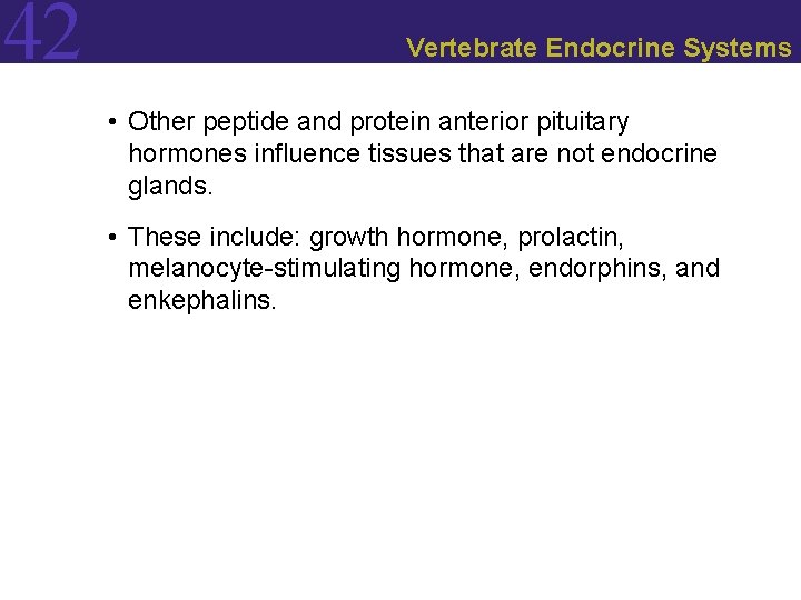 42 Vertebrate Endocrine Systems • Other peptide and protein anterior pituitary hormones influence tissues