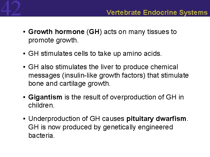 42 Vertebrate Endocrine Systems • Growth hormone (GH) acts on many tissues to promote