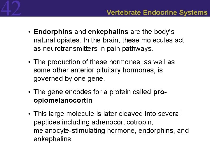 42 Vertebrate Endocrine Systems • Endorphins and enkephalins are the body’s natural opiates. In