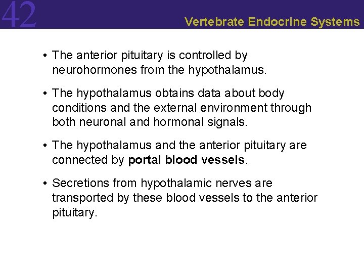 42 Vertebrate Endocrine Systems • The anterior pituitary is controlled by neurohormones from the