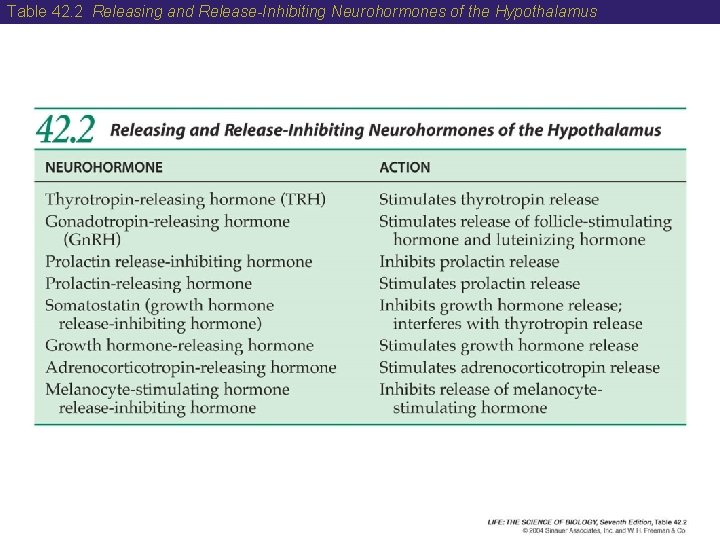 Table 42. 2 Releasing and Release-Inhibiting Neurohormones of the Hypothalamus 