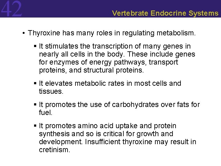 42 Vertebrate Endocrine Systems • Thyroxine has many roles in regulating metabolism. § It