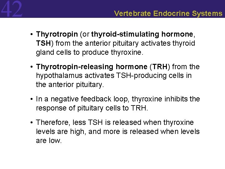 42 Vertebrate Endocrine Systems • Thyrotropin (or thyroid-stimulating hormone, TSH) from the anterior pituitary