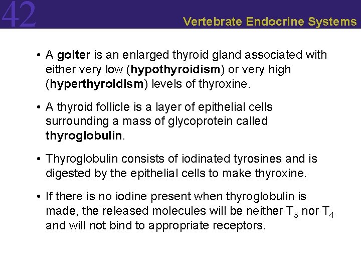 42 Vertebrate Endocrine Systems • A goiter is an enlarged thyroid gland associated with