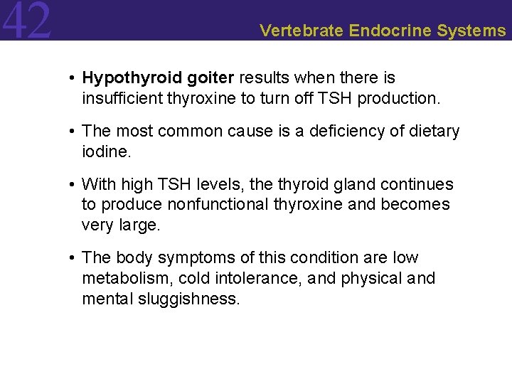 42 Vertebrate Endocrine Systems • Hypothyroid goiter results when there is insufficient thyroxine to