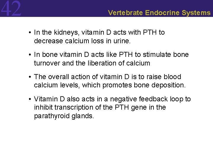 42 Vertebrate Endocrine Systems • In the kidneys, vitamin D acts with PTH to