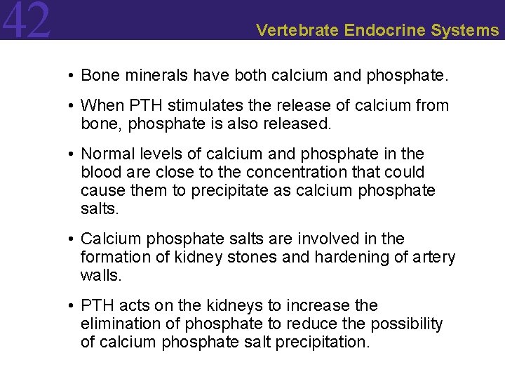 42 Vertebrate Endocrine Systems • Bone minerals have both calcium and phosphate. • When