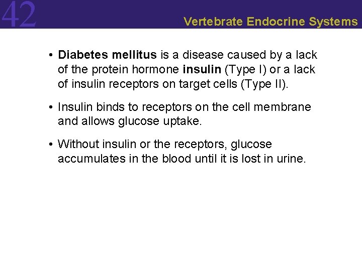 42 Vertebrate Endocrine Systems • Diabetes mellitus is a disease caused by a lack