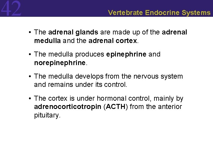 42 Vertebrate Endocrine Systems • The adrenal glands are made up of the adrenal