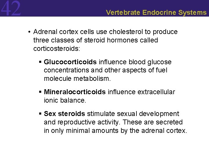 42 Vertebrate Endocrine Systems • Adrenal cortex cells use cholesterol to produce three classes