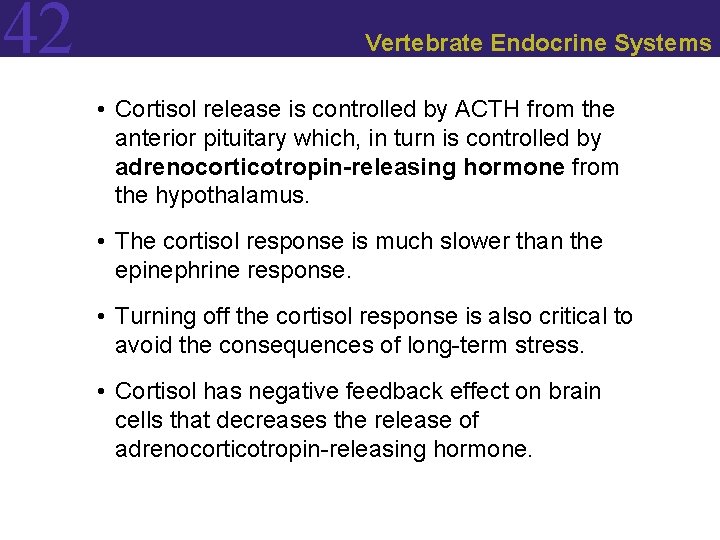 42 Vertebrate Endocrine Systems • Cortisol release is controlled by ACTH from the anterior