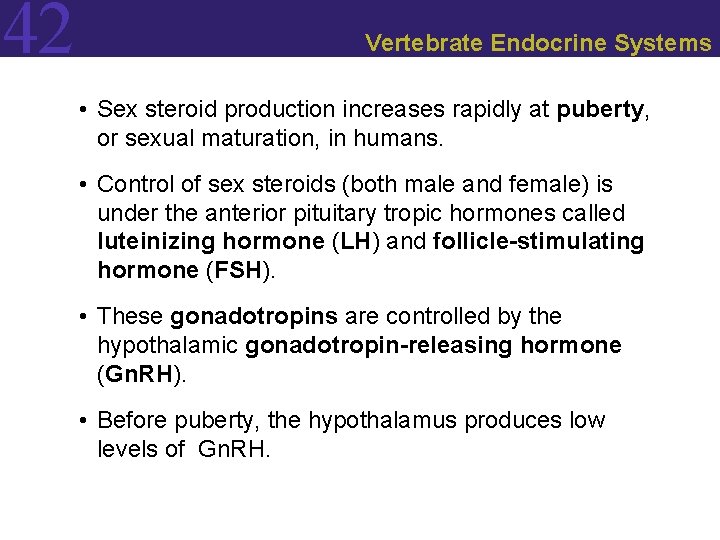 42 Vertebrate Endocrine Systems • Sex steroid production increases rapidly at puberty, or sexual