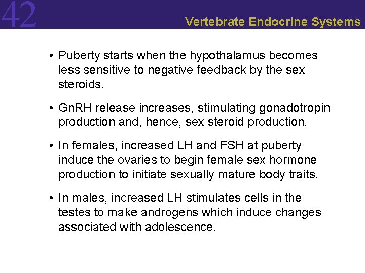 42 Vertebrate Endocrine Systems • Puberty starts when the hypothalamus becomes less sensitive to