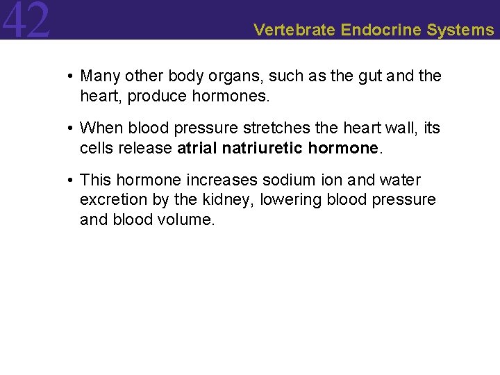 42 Vertebrate Endocrine Systems • Many other body organs, such as the gut and