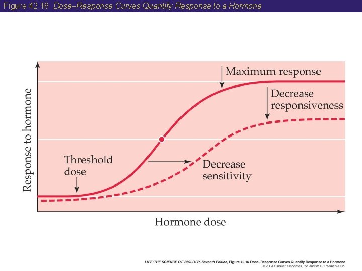 Figure 42. 16 Dose–Response Curves Quantify Response to a Hormone 