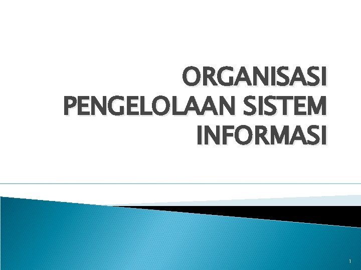 ORGANISASI PENGELOLAAN SISTEM INFORMASI 1 