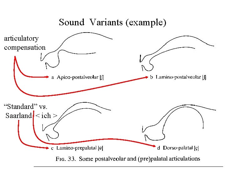 Sound Variants (example) articulatory compensation “Standard” vs. Saarland < ich > 