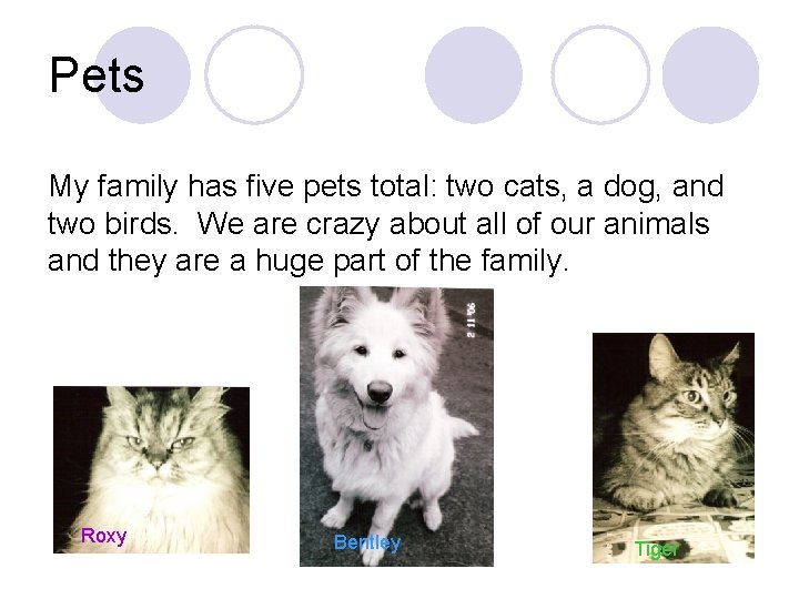 Pets My family has five pets total: two cats, a dog, and two birds.