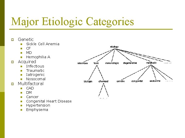 Major Etiologic Categories p Genetic n n p Acquired n n p Sickle Cell Major Etiologic Categories p Genetic n n p Acquired n n p Sickle Cell