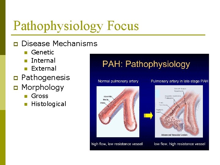 Pathophysiology Focus p Disease Mechanisms n n n p p Genetic Internal External Pathogenesis Pathophysiology Focus p Disease Mechanisms n n n p p Genetic Internal External Pathogenesis