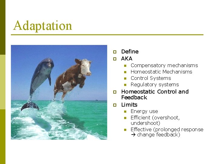 Adaptation p p Define AKA n n p p Compensatory mechanisms Homeostatic Mechanisms Control Adaptation p p Define AKA n n p p Compensatory mechanisms Homeostatic Mechanisms Control