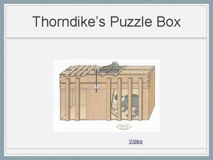 Thorndike’s Puzzle Box Video 