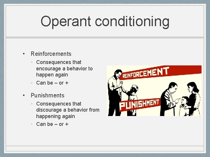 Operant conditioning • Reinforcements • Consequences that encourage a behavior to happen again •