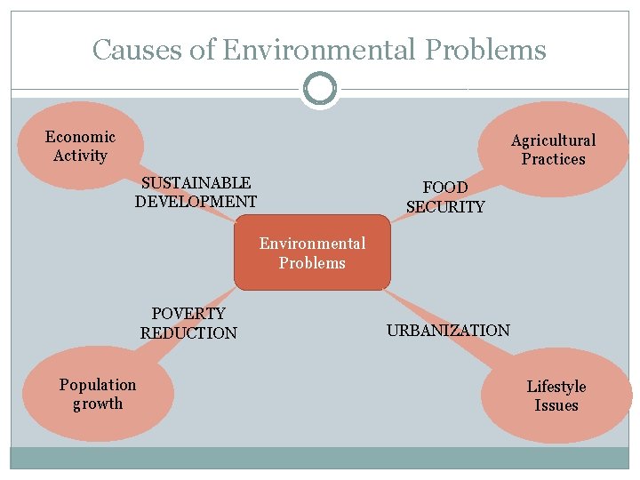 Causes of Environmental Problems Economic Activity Agricultural Practices SUSTAINABLE DEVELOPMENT FOOD SECURITY Environmental Problems