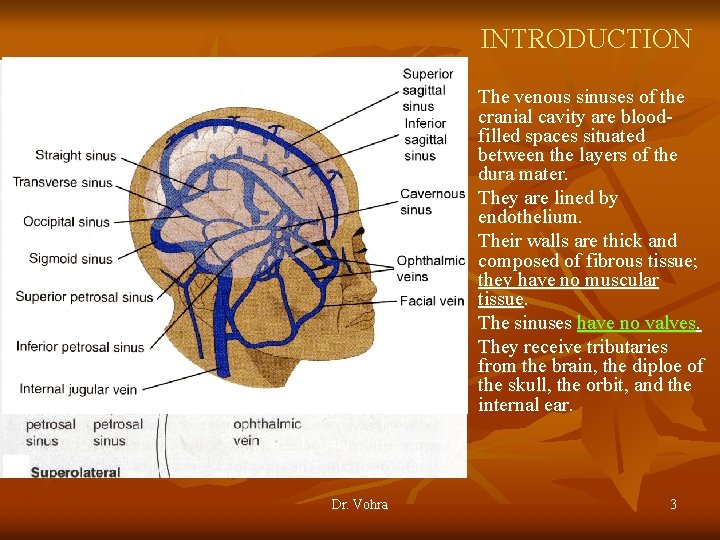 INTRODUCTION n n n Dr. Vohra The venous sinuses of the cranial cavity are