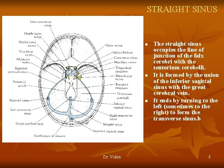 STRAIGHT SINUS n n n Dr. Vohra The straight sinus occupies the line of